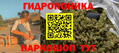 гашиш Гатчина