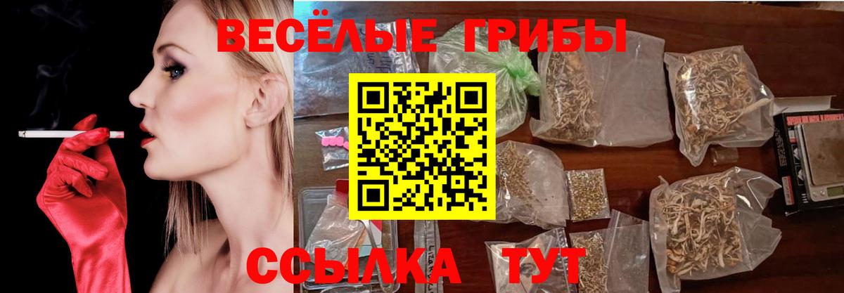 Дальнереченск  Псилоцибиновые грибы Psilocybe  Галлюциногенные грибы Magic Shrooms  Вход с VPN 